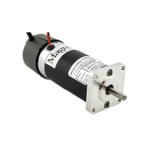 MAGMOTOR 有刷电机