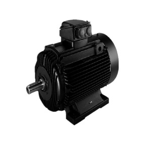 GRUNDFOS 感应电机